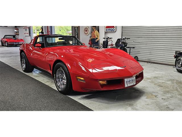 1981 Chevrolet Corvette (CC-2098778) for sale in Hudson, Florida