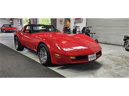 1981 Chevrolet Corvette (CC-2098778) for sale in Hudson, Florida