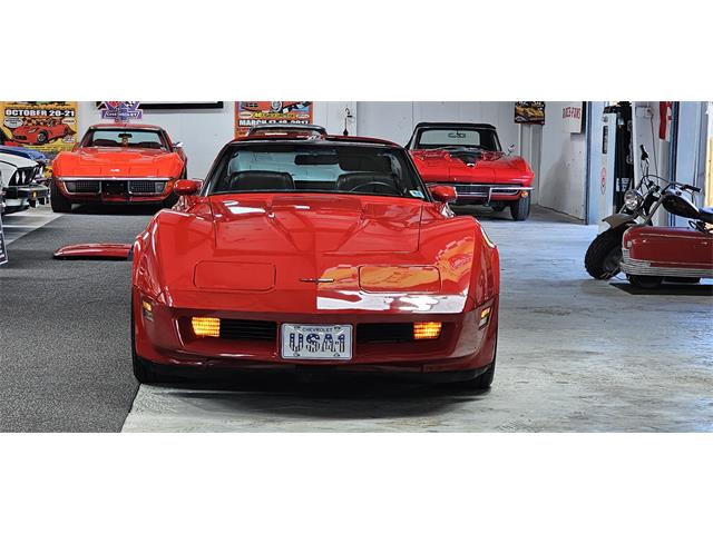 1981 Chevrolet Corvette (CC-2098778) for sale in Hudson, Florida