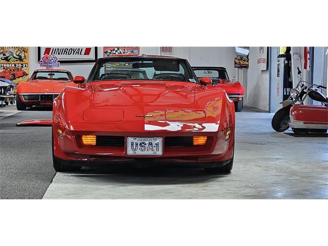 1981 Chevrolet Corvette (CC-2098778) for sale in Hudson, Florida