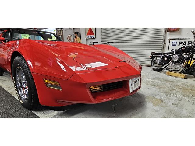 1981 Chevrolet Corvette (CC-2098778) for sale in Hudson, Florida