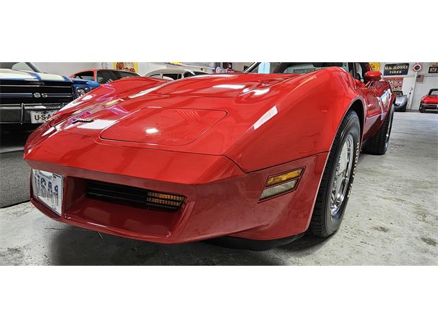 1981 Chevrolet Corvette (CC-2098778) for sale in Hudson, Florida