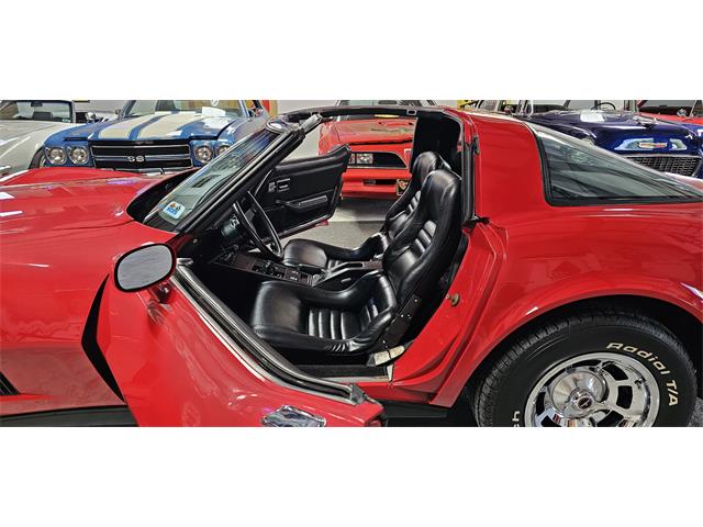 1981 Chevrolet Corvette (CC-2098778) for sale in Hudson, Florida