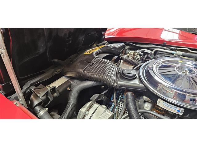 1981 Chevrolet Corvette (CC-2098778) for sale in Hudson, Florida