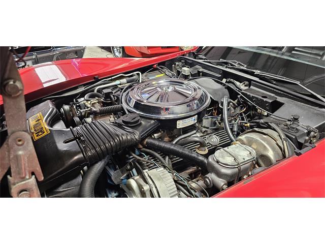 1981 Chevrolet Corvette (CC-2098778) for sale in Hudson, Florida