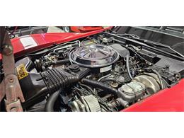 1981 Chevrolet Corvette (CC-2098778) for sale in Hudson, Florida