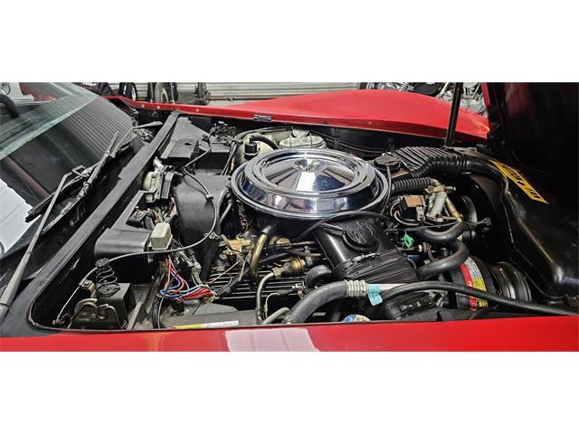 1981 Chevrolet Corvette (CC-2098778) for sale in Hudson, Florida
