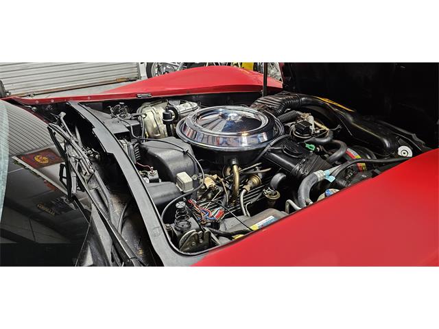 1981 Chevrolet Corvette (CC-2098778) for sale in Hudson, Florida