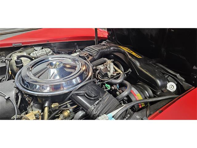 1981 Chevrolet Corvette (CC-2098778) for sale in Hudson, Florida