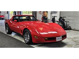 1981 Chevrolet Corvette (CC-2098778) for sale in Hudson, Florida