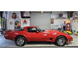 1981 Chevrolet Corvette (CC-2098778) for sale in Hudson, Florida