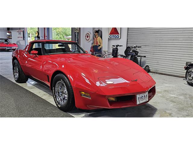 1981 Chevrolet Corvette (CC-2098778) for sale in Hudson, Florida