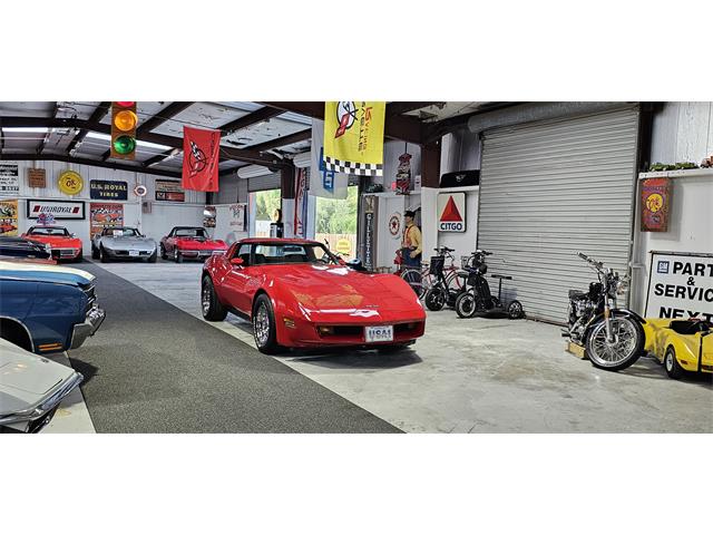 1981 Chevrolet Corvette (CC-2098778) for sale in Hudson, Florida