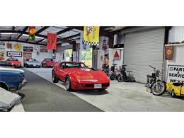 1981 Chevrolet Corvette (CC-2098778) for sale in Hudson, Florida