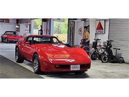 1981 Chevrolet Corvette (CC-2098778) for sale in Hudson, Florida