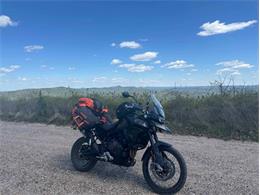 2023 Triumph Tiger (CC-2090885) for sale in Glendale, California