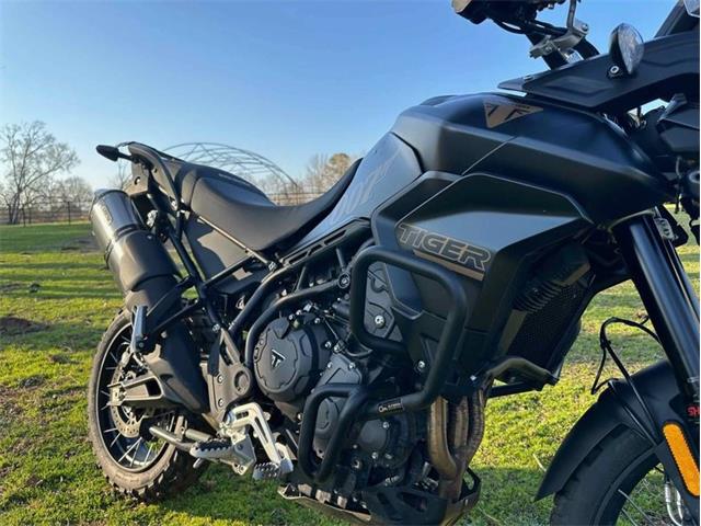 2023 Triumph Tiger (CC-2090885) for sale in Glendale, California