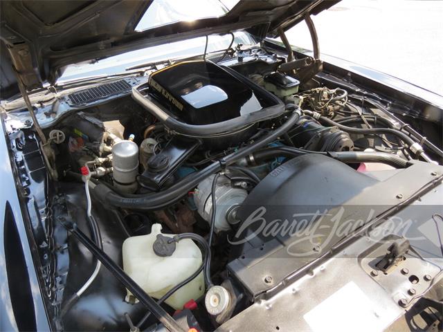 1981 Pontiac Firebird Trans Am (CC-2098854) for sale in Las Vegas, Nevada