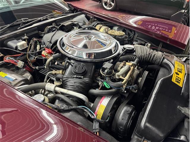 1981 Chevrolet Corvette (CC-2090892) for sale in Greensboro, North Carolina
