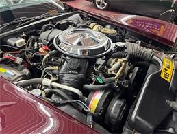 1981 Chevrolet Corvette (CC-2090892) for sale in Greensboro, North Carolina