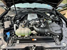2021 Ford Mustang (CC-2090904) for sale in Greensboro, North Carolina