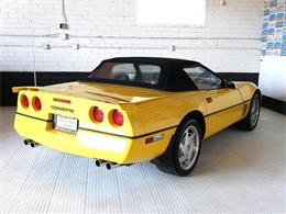 1988 Chevrolet Corvette (CC-2099114) for sale in Reno, Nevada