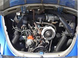 1977 Volkswagen Beetle (CC-2099135) for sale in Reno, Nevada