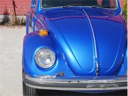 1977 Volkswagen Beetle (CC-2099135) for sale in Reno, Nevada