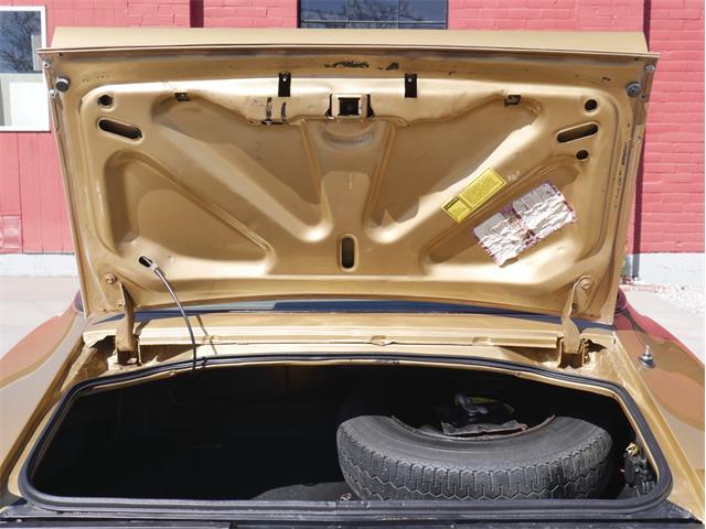1978 Pontiac Firebird Trans Am (CC-2099140) for sale in Reno, Nevada
