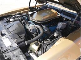 1978 Pontiac Firebird Trans Am (CC-2099140) for sale in Reno, Nevada