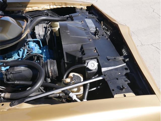 1978 Pontiac Firebird Trans Am (CC-2099140) for sale in Reno, Nevada