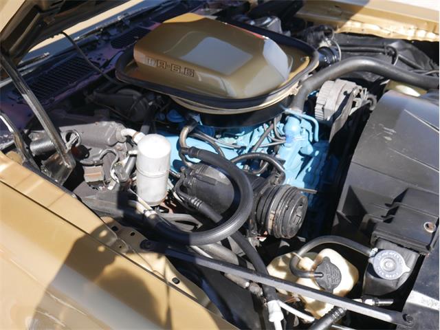 1978 Pontiac Firebird Trans Am (CC-2099140) for sale in Reno, Nevada
