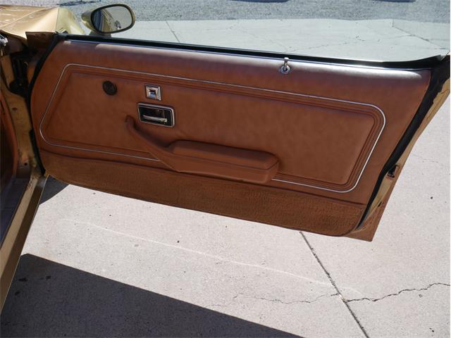 1978 Pontiac Firebird Trans Am (CC-2099140) for sale in Reno, Nevada