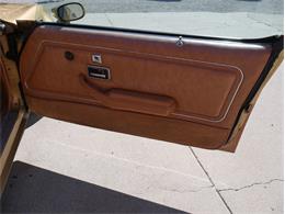1978 Pontiac Firebird Trans Am (CC-2099140) for sale in Reno, Nevada