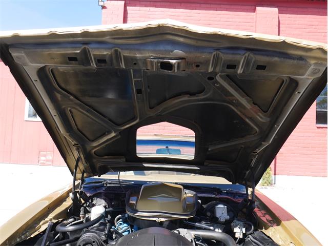 1978 Pontiac Firebird Trans Am (CC-2099140) for sale in Reno, Nevada