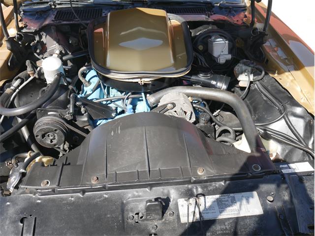1978 Pontiac Firebird Trans Am (CC-2099140) for sale in Reno, Nevada
