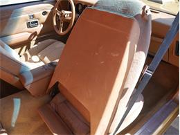 1978 Pontiac Firebird Trans Am (CC-2099140) for sale in Reno, Nevada