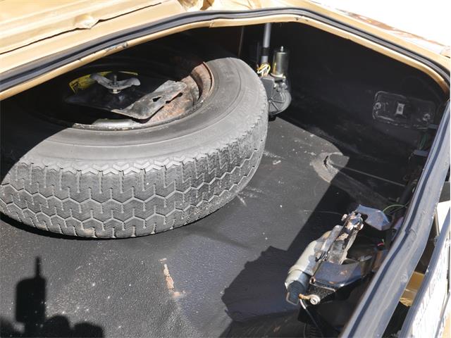 1978 Pontiac Firebird Trans Am (CC-2099140) for sale in Reno, Nevada