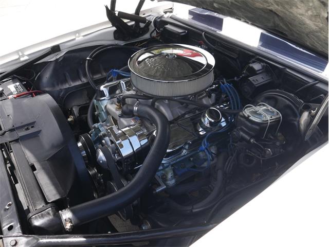 1969 Pontiac Firebird (CC-2099164) for sale in Reno, Nevada