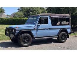 1991 Mercedes-Benz G-Class (CC-2099167) for sale in Southampton, New York