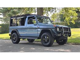 1991 Mercedes-Benz G-Class (CC-2099167) for sale in Southampton, New York