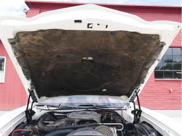 1979 Ford Ranchero (CC-2099169) for sale in Reno, Nevada