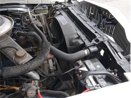 1979 Ford Ranchero (CC-2099169) for sale in Reno, Nevada