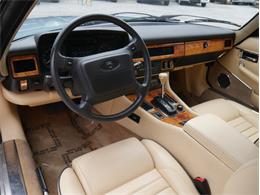 1991 Jaguar XJ (CC-2099171) for sale in Reno, Nevada