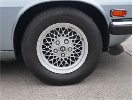 1991 Jaguar XJ (CC-2099171) for sale in Reno, Nevada