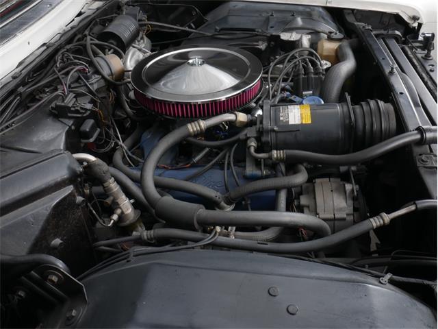 1957 Ford Thunderbird (CC-2099174) for sale in Reno, Nevada