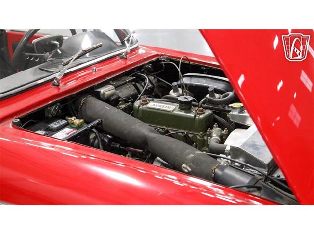 1965 Innocenti Spider (CC-2090920) for sale in New Braundfels, Texas