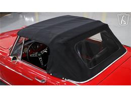 1965 Innocenti Spider (CC-2090920) for sale in New Braundfels, Texas