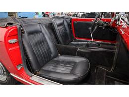 1965 Innocenti Spider (CC-2090920) for sale in New Braundfels, Texas