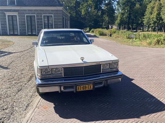 1979 Cadillac Seville (CC-2099205) for sale in Hilversum, New Hampshire